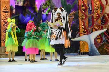 La XIII Gala de la Integración viste el escenario del Carnaval de La Tierra con el desfile de sus participantes/Lpcarnaval.